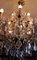 Lámpara de araña Maria Teresa grande de catorce luces, años 60, Imagen 3