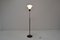 Lámpara de pie de Kamenicky Senov, años 60, Imagen 2