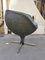 Ballyhoo Moon Chair by Pierre Guariche for Meurop, 1960s 3