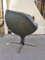 Ballyhoo Moon Chair by Pierre Guariche for Meurop, 1960s, Image 3