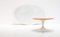 Vintage Oval Marble Coffee Table by Knoll for DeCoene Kortrijk 8