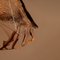 Lampada da soffitto grande in vetro di Murano di Carlo Nason per Mazzega, Immagine 5