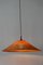 Mid-Century Wicker Pendant Lamp, Germany, 1960s 4