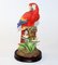 Porcelain Parrot, Image 1