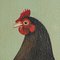 Hühner, Öl auf Leinwand, 1960er 6
