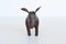Britischer Donkey Fußhocker von Dimitri Omersa für Abercrombie & Fitch, 1960er 3