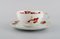 Tea Service Set in Hand-Painted Porcelain from Rosenthal, Set of 21 6