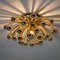 Pistillino Wall Light from Valenti Luce, Italy, 1970s 11