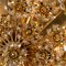 Gold-Plated Flower Wall Light or Flush Mount from Palwa 2