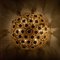 Gold-Plated Flower Wall Light or Flush Mount from Palwa 11