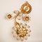 Flower Crystal Wall Light or Sconce from Palwa 6