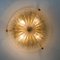Thick Large Handmade Glass Brass Flush Mount or Wall Light from Hillebrand, 1960s 14