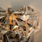 Faceted Crystal and Chrome Sconces from Kinkeldey, Germany, 1970s, Image 12