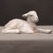 Porcelain Lamb Statue by Willy Zügel for Rosenthal, Image 2