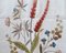 Tapisserie Florale Mid-Century Beige et Florale 6