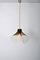Vintage Tulip Ceiling Lamp by Carlo Nason for Mazzega 3