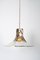 Flower Pendant Lamp by Carlo Nason for Mazzega 8