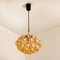 Amber Bubble Glass Pendant Light by Helena Tynell for COR, 1960s, Set of 6 12