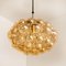 Amber Bubble Glass Pendant Light by Helena Tynell for COR, 1960s, Set of 6 13