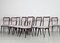 Italian Dining Chairs by Vittorio Dassi, 1950s, Set of 12, Image 4
