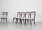 Italian Dining Chairs by Vittorio Dassi, 1950s, Set of 12, Image 9