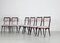 Italian Dining Chairs by Vittorio Dassi, 1950s, Set of 12, Image 8