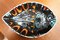 Mid-Century Vintage Delphis Ceramic Plate from Poole Pottery, 1960s 1