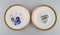 Platos de pescado de porcelana con peces pintados a mano de Royal Copenhagen. Juego de 10, Imagen 3