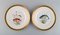 Platos de pescado de porcelana con peces pintados a mano de Royal Copenhagen. Juego de 10, Imagen 5