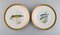 Platos de pescado de porcelana con peces pintados a mano de Royal Copenhagen. Juego de 10, Imagen 2