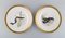 Platos de pescado de porcelana con peces pintados a mano de Royal Copenhagen. Juego de 10, Imagen 4