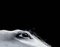 Horse Croc, Fotografía abstracta, Blanco y negro, 2006, Imagen 1