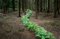Ven conmigo 7, Ellie Davies, 2011, Imagen 1