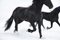 Friesians-Horses, Print, Tim Flach, Image 1