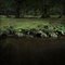Half Light 9, Ellie Davies, Photography 1