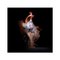 Abstract Dancers, White 1, 2019, Fotografia, Immagine 1