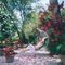 Barbados Bliss, Slim Aarons, 20th Century, Nature 1