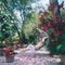 Barbados Bliss, Slim Aarons, 20th Century, Nature, Image 1