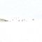 Bolonia 6, Images de plage, Impression, 2010 1