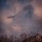 Mirando al Cielo 12, Rosa Basurto, Nature Photograph, Image 1