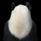 Ji Li Lucky, Britische Fotografie, Pandas 1