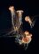 Japanese Sea Nettles II, British Art, Underwater, Image 1