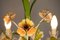 Lampadario con fiori in ferro battuto, Immagine 9
