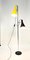 Chrome Plated and Painted Floor Lamp, 1960s 1