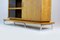 Bauhaus Tubular Steel Cabinet by Mücke Melder for Famed Zadziele, 1937 9