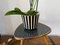 Kidney-Shaped Formica Flower Table or Plant Stand, 1950s 10