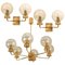 Gold-Plated Glass Light Fixtures in the Style of Brotto, Italy, Set of 3 1
