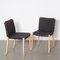 Nr 737 Chair in Black by Peter Maly for Thonet 12