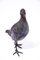 Vintage Bronze Pigeon Sculpture, France, 1950s, Image 3