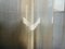 Sofia Mattioli, Light 5, Original Photo, 2020 1